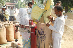 MSP : किसानों को मिली सौगात, खरीफ की 14 फसलों की बढ़ी एमएसपी