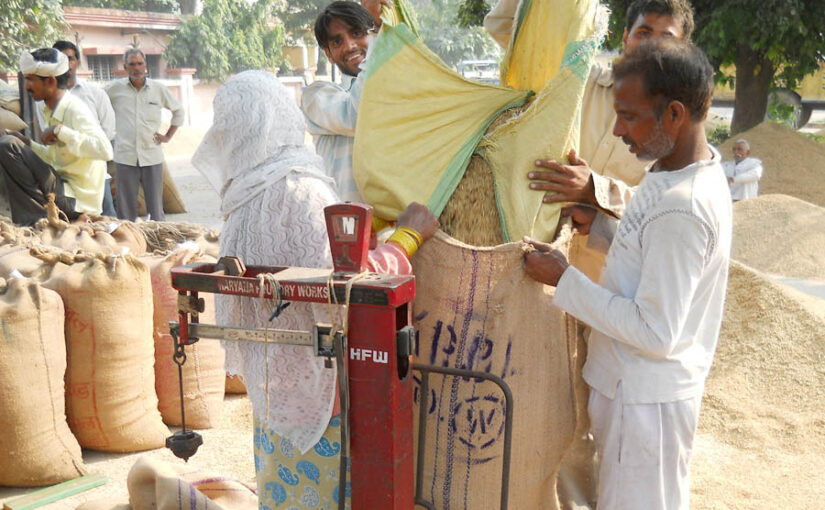 MSP : किसानों को मिली सौगात, खरीफ की 14 फसलों की बढ़ी एमएसपी