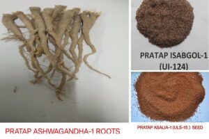 एकसाथ 3 औषधीय फसलों (Medicinal Crops) में बनाया कीर्तमान 