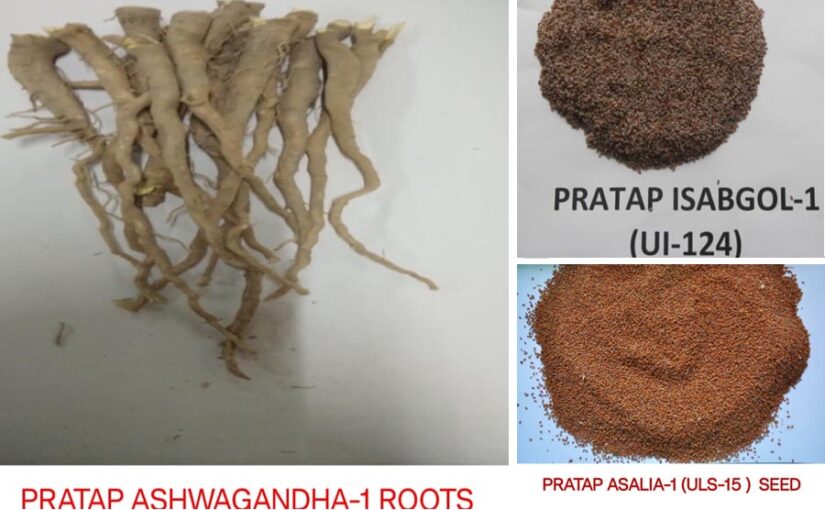 एकसाथ 3 औषधीय फसलों (Medicinal Crops) में बनाया कीर्तमान 