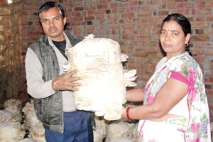 समेकित खेती (Integrated Farming) समय की जरूरत