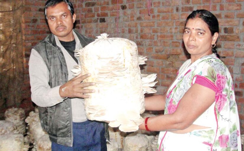 समेकित खेती (Integrated Farming) समय की जरूरत