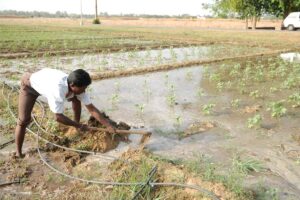 Drainage technology : ज्यादा पैदावार के लिए जल निकासी प्रौद्योगिकी