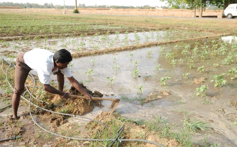 Drainage technology : ज्यादा पैदावार के लिए जल निकासी प्रौद्योगिकी