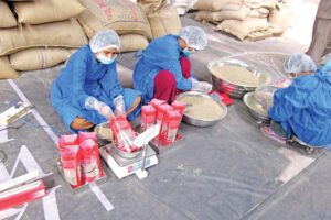 Cumin : जीरा फसल सही देखभाल से अच्छे दाम
