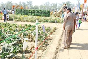 Organic Farming