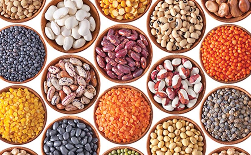Pulses : किसान बढ़ाएं दलहनी फसलें