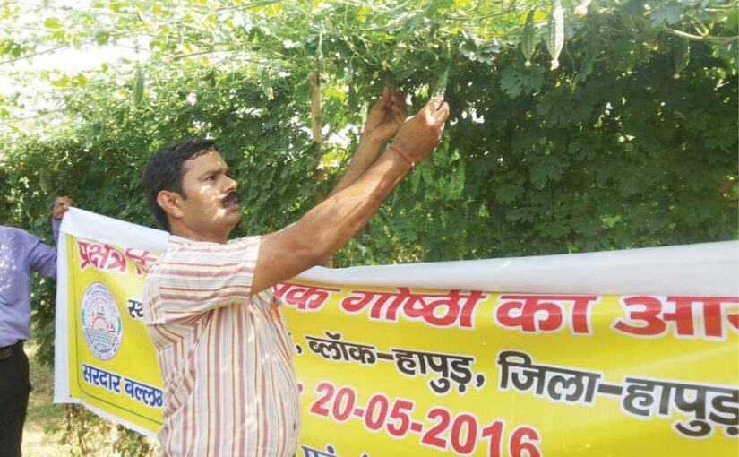 मचान पर करें करेले (Bitter Gourd) की खेती