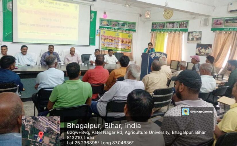 Mango : आम उत्पादन की उन्नत तकनीक पर प्रशिक्षण