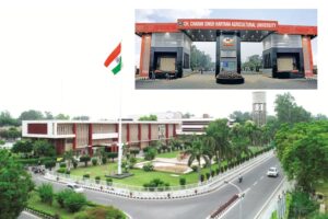 Entrance Exam : एग्रीकल्चर विषयों में प्रवेश के लिए 28 जून को परीक्षा