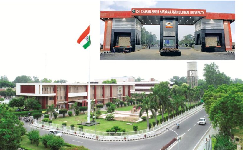 Entrance Exam : एग्रीकल्चर विषयों में प्रवेश के लिए 28 जून को परीक्षा