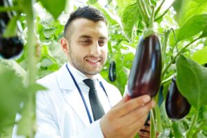 Brinjal: अब बैगन खाने से नहीं होगी एलर्जी