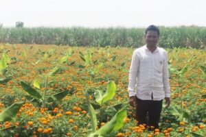 Crop Management : फसल विविधीकरण खेती में फसल प्रबंधन?