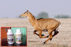 Crop Protection :जंगली जानवरों से फसल सुरक्षा