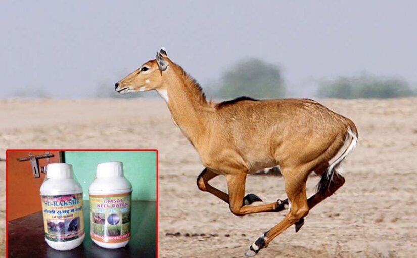 Crop Protection :जंगली जानवरों से फसल सुरक्षा