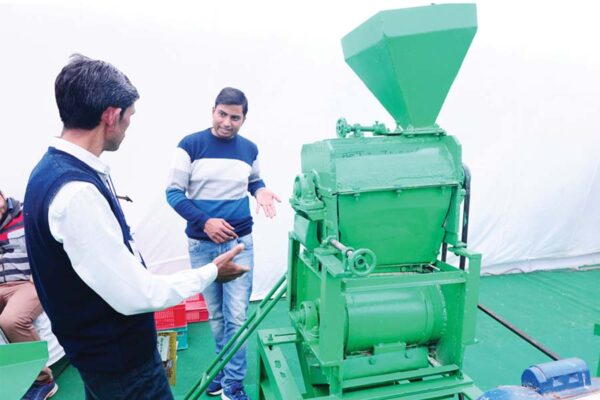 Pulses Processing