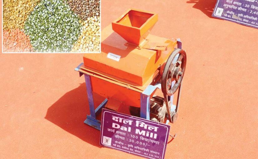 Pulses Processing : मशीनों से दाल की प्रोसेसिंग बढ़ाएं रोजगार