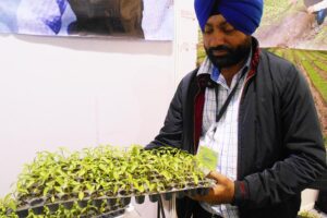 Pro Tray Technology : प्रो ट्रे तकनीक से उगाएं फलसब्जियां