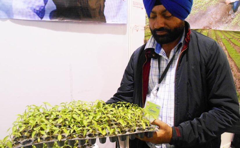 Pro Tray Technology : प्रो ट्रे तकनीक से उगाएं फलसब्जियां