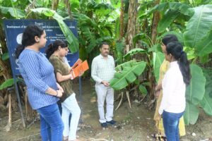 Agriculture and Horticulture : एक सुनहरा और स्थाई कैरियर विकल्प