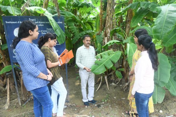 Agriculture and Horticulture : एक सुनहरा और स्थाई कैरियर विकल्प