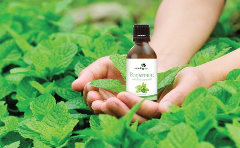 Aromatic Oil : किसान खुशबूदार तेल बना कर ज्यादा कमाई करें