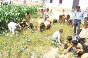 Farming Education: खेतीकिसानी की शिक्षा बनी मिसाल