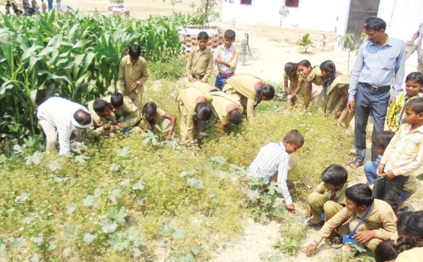 Farming Education: खेतीकिसानी की शिक्षा बनी मिसाल
