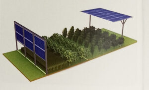Solar Panel