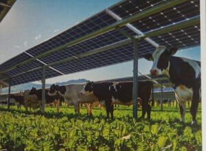Solar Panel