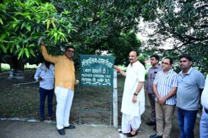 Mango मिलिए दशहरी आम के सब से पुराने पेड़ से