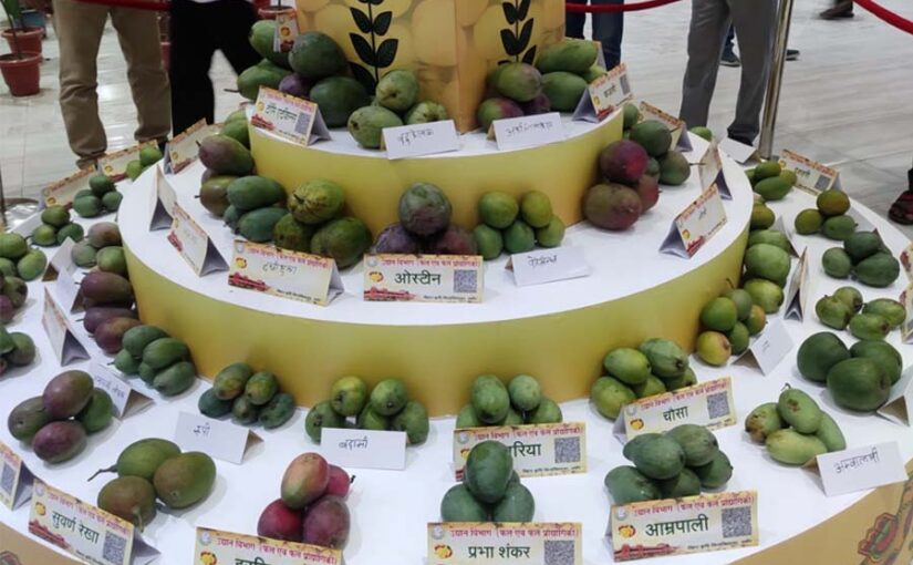 Mango Festival : पटना में आम महोत्सव : खुशबू और मिठास की बहार