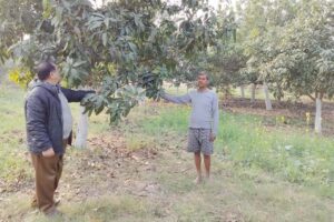 एकीकृत बागबानी विकास मिशन योजना में करें आवेदन