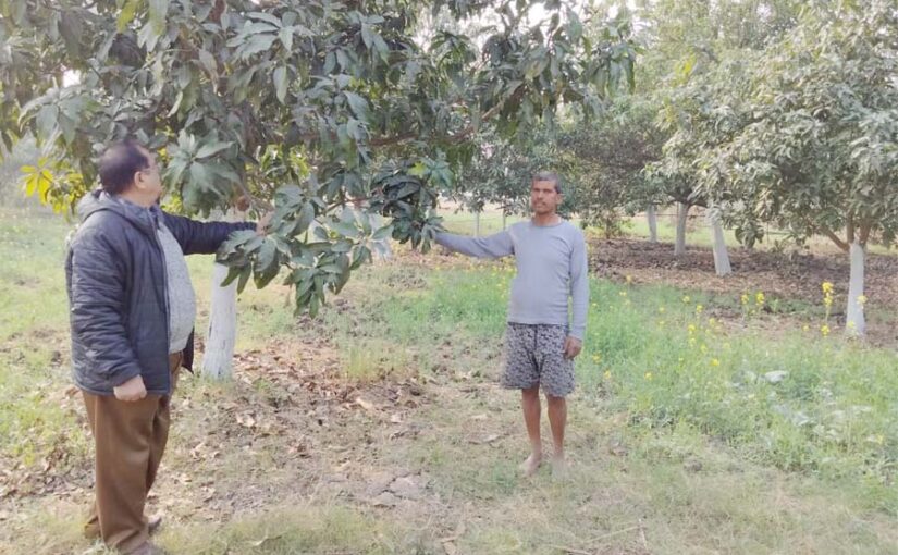 एकीकृत बागबानी विकास मिशन योजना में करें आवेदन