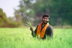 Dhan Dhanya Agriculture Scheme : प्रधानमंत्री धन-धान्य कृषि योजन