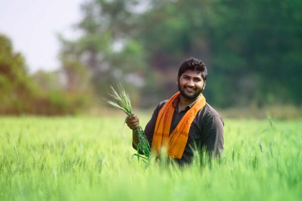 Dhan Dhanya Agriculture Scheme : प्रधानमंत्री धन-धान्य कृषि योजन