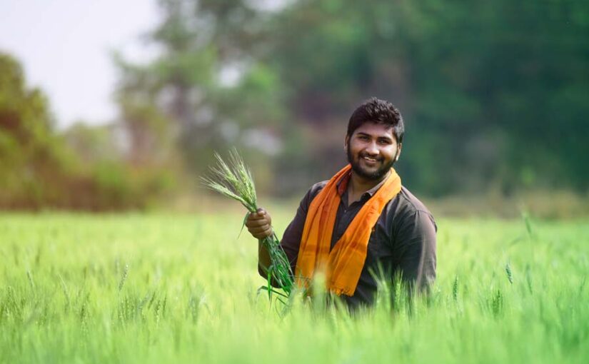 Dhan Dhanya Agriculture Scheme : प्रधानमंत्री धन-धान्य कृषि योजन