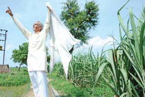 Healthy Soil : हेल्दी मिट्टी वेल्दी किसान