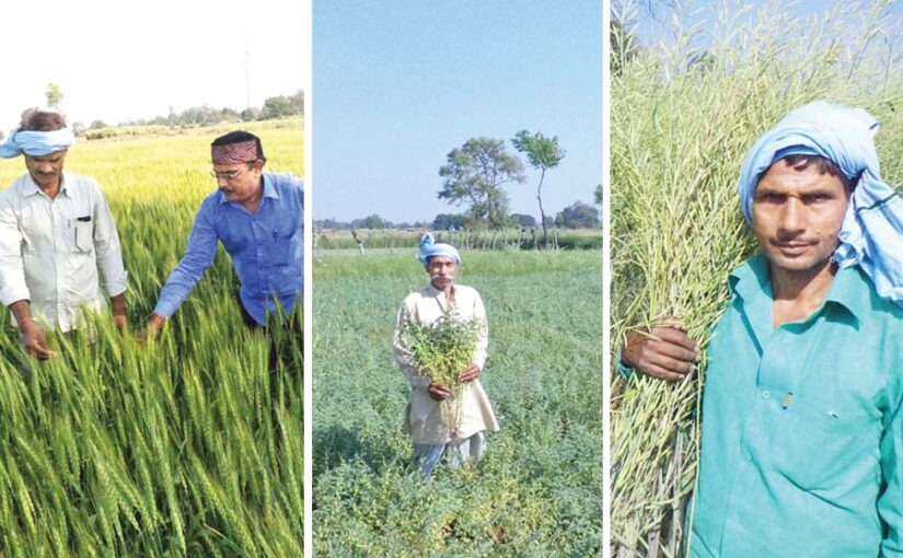 Kisan clubs : किसान क्लब बन रहे किसानों की तरक्की की राह