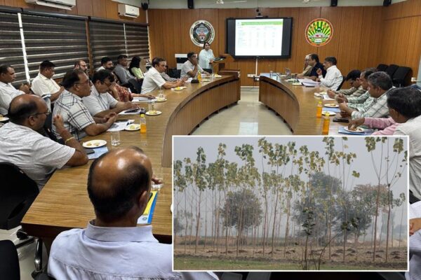 Agroforestry :  अतिरिक्त आय का साधन हो सकती है कृषि वानिकी