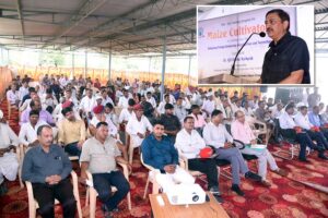 Maize : मक्का उत्पादन में अमरीका और चीन से पीछे नहीं है भारत