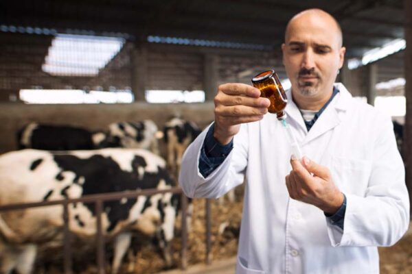 पशुपालन और जूनोटिक रोग : जोखिम और जिम्मेदारी