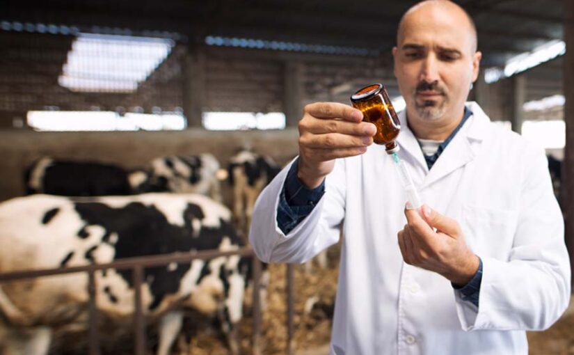 पशुपालन और जूनोटिक रोग : जोखिम और जिम्मेदारी