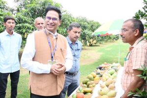 Mango Varieties : आईएआरआई द्वारा विकसित उन्नत आम किस्मों को बढ़ावा