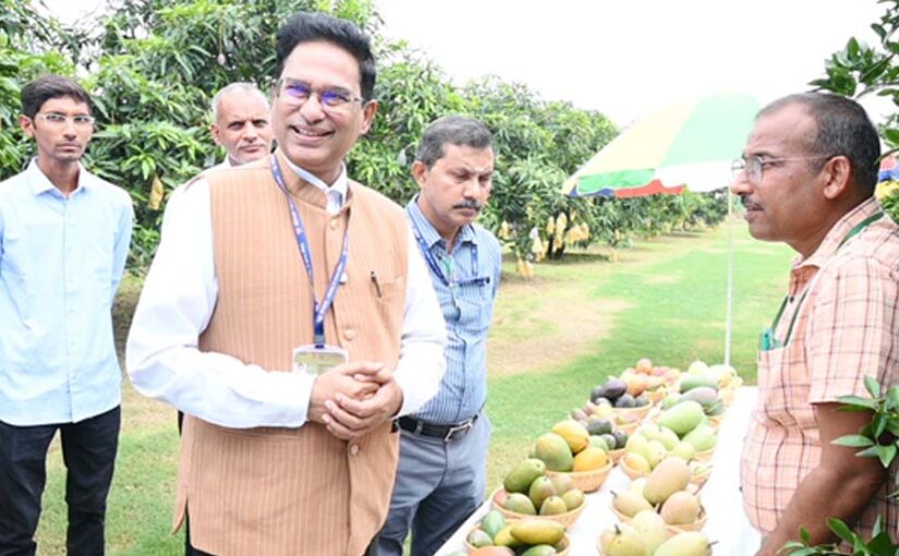 Mango Varieties : आईएआरआई द्वारा विकसित उन्नत आम किस्मों को बढ़ावा