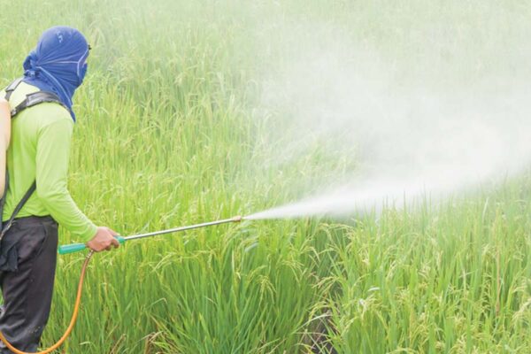 Pesticides : कीटनाशकों के इस्तेमाल में बरतें सावधानी