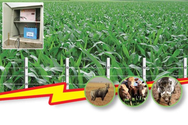 Solar Power Fencing