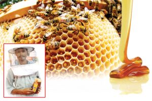 Beekeeping : मधुमक्खीपालन मिठास भरा रोजगार