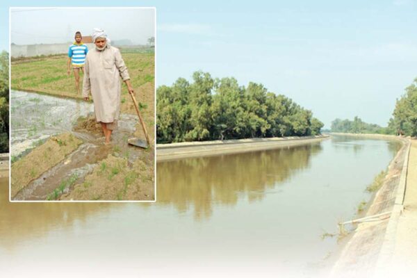 Canal Water : अपने खेतों तक ऐसे पहुंचाएं नहरों का पानी