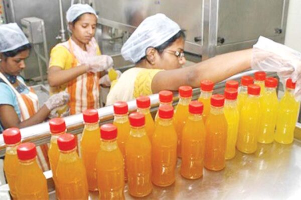 Citrus Fruits : नींबू वर्गीय फलों की प्रोसेसिंग से करें कमाई